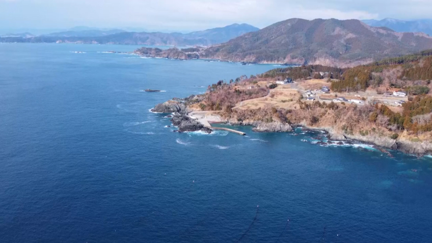 理研ビタミン株式会社